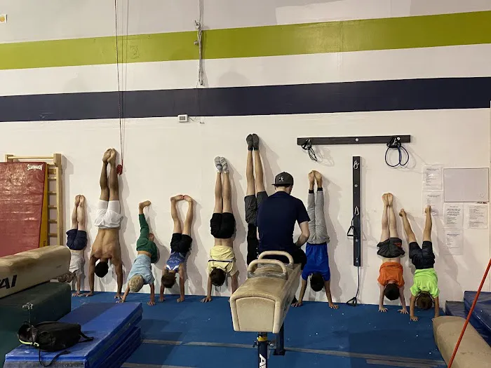 Alpha Gymnastics Picture 7