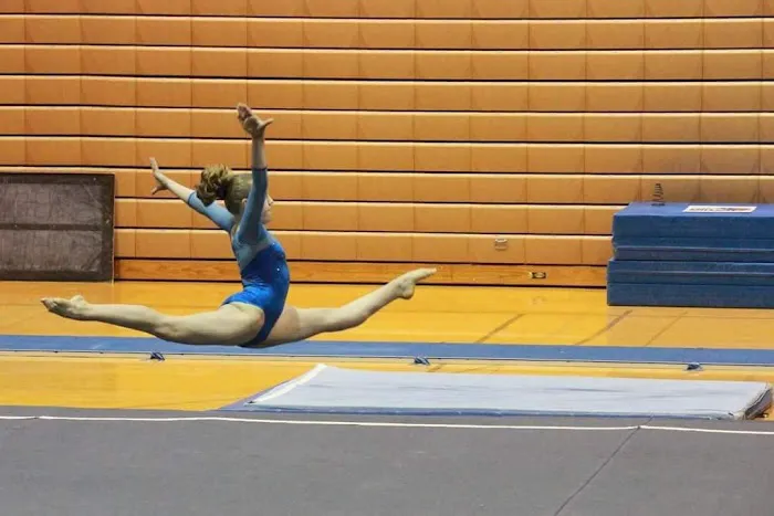 Alpha Gymnastics Picture 6