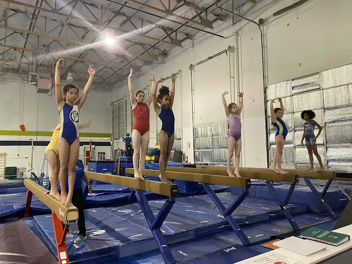 Alpha Gymnastics Picture 1