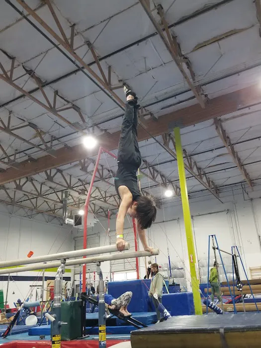Alpha Gymnastics Picture 10