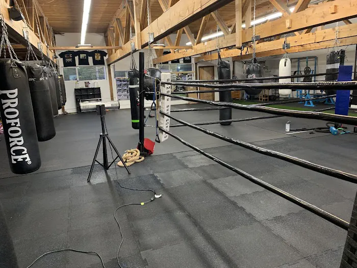 Nomad Boxing Club Picture 9