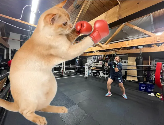 Nomad Boxing Club Picture 3