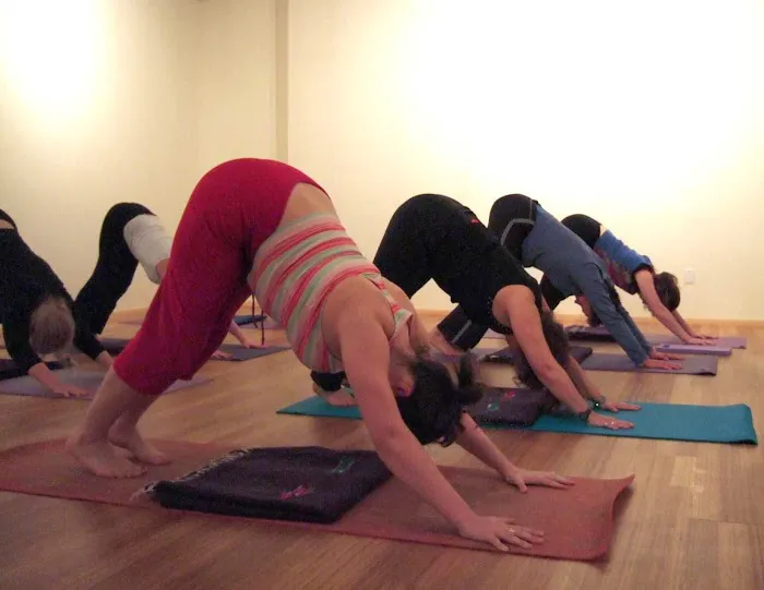 Whole Life Yoga Studio Picture 10