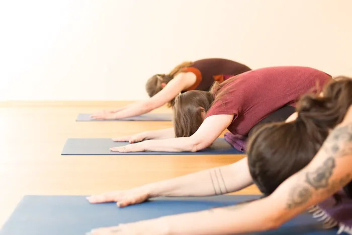 Whole Life Yoga Studio Picture 2