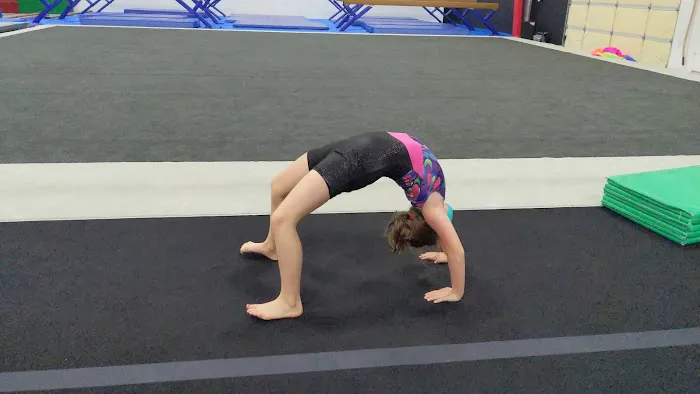 Northshore Gymnastics Center Picture 4