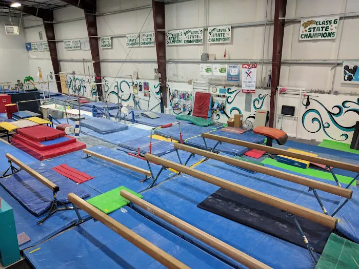 Northshore Gymnastics Center Picture 8