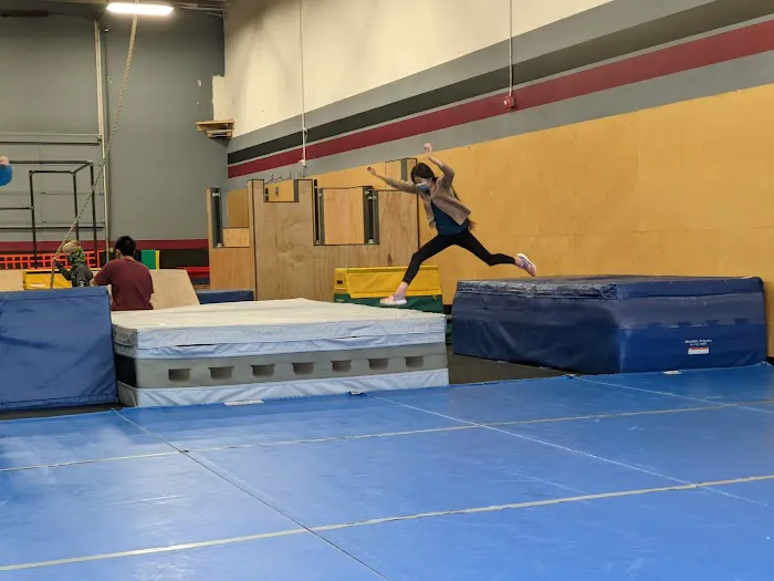 MoveFree Academy Picture 8