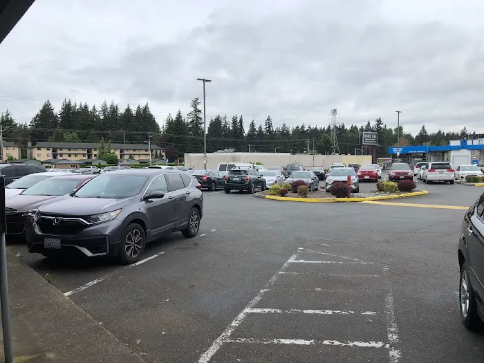 Body & Brain Yoga Tai Chi Picture 8