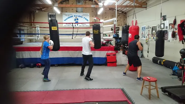 Summit Boxing & Self Defense Gym Picture 3