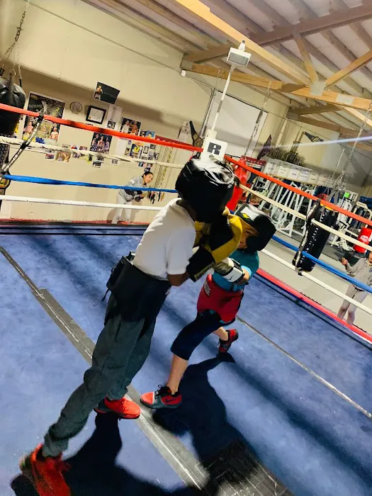 Summit Boxing & Self Defense Gym Picture 6