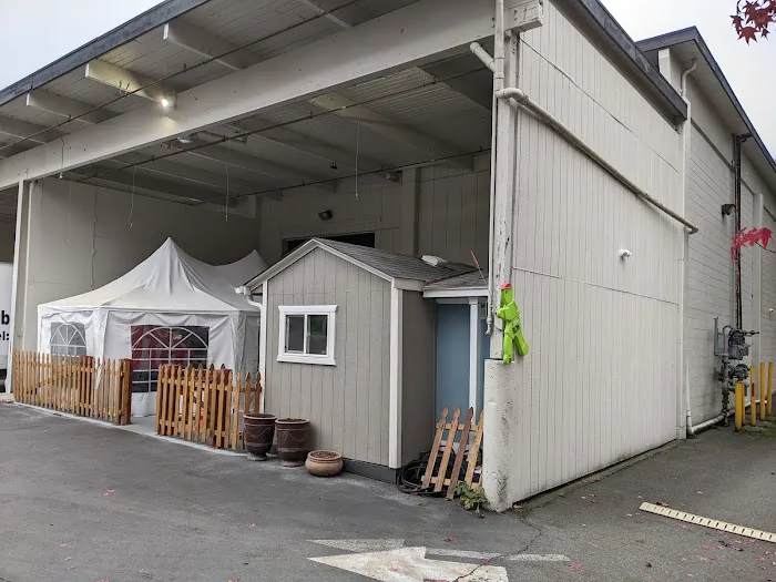 La Luna Rhythmic Gymnastics Academy Picture 1