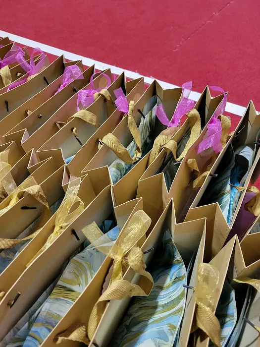 La Luna Rhythmic Gymnastics Academy Picture 7