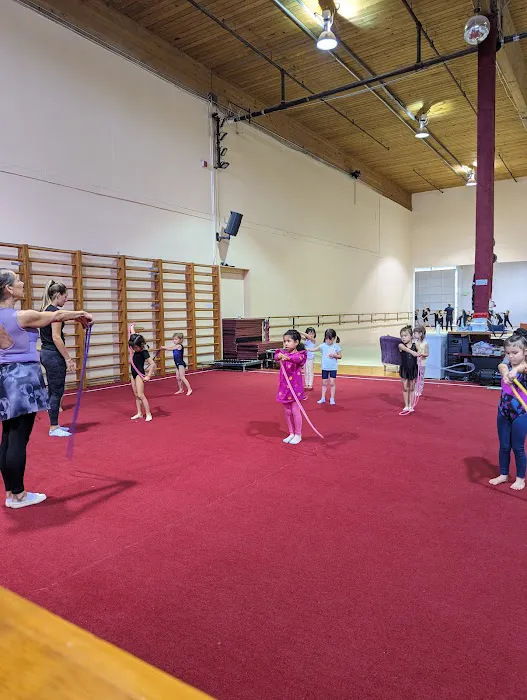 La Luna Rhythmic Gymnastics Academy Picture 6