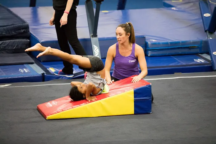 The Gymnastics Connection Picture 5