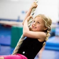 The Gymnastics Connection ico