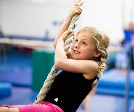 The Gymnastics Connection