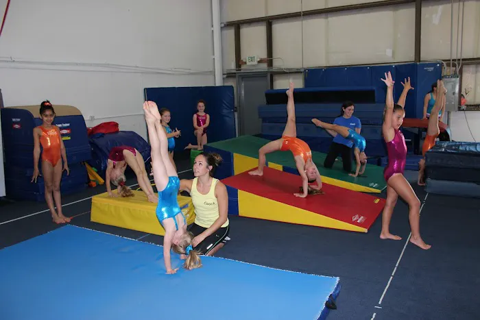 The Gymnastics Connection Picture 8