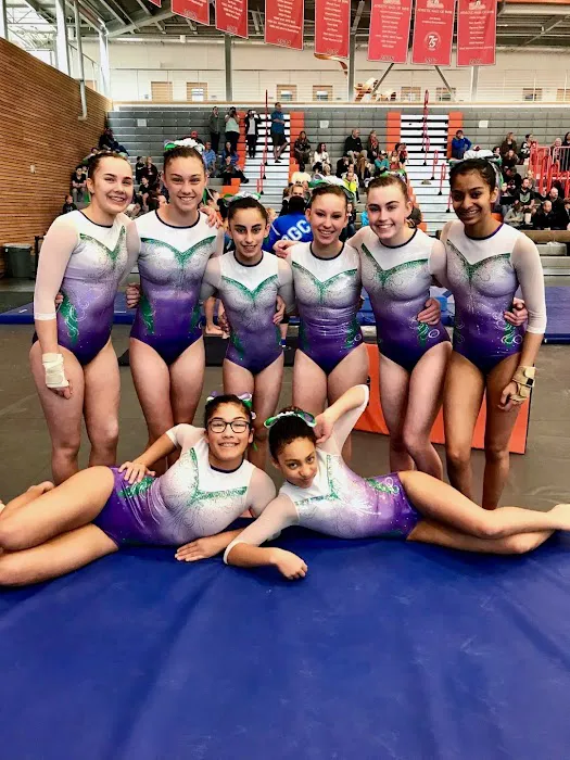 The Gymnastics Connection Picture 2
