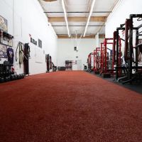 Curtis Clay Training ico