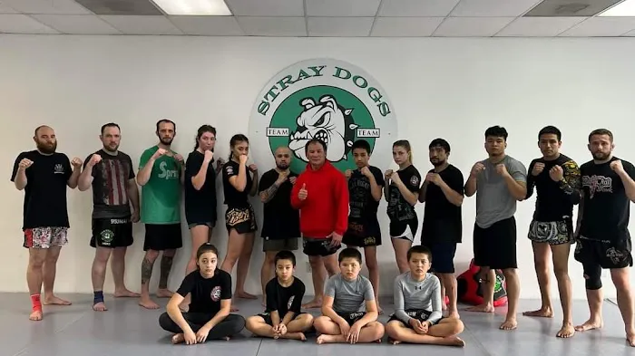 Stray Dogs Club Picture 6