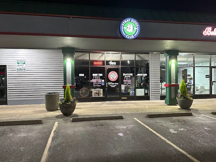 Stray Dogs Club Picture 3