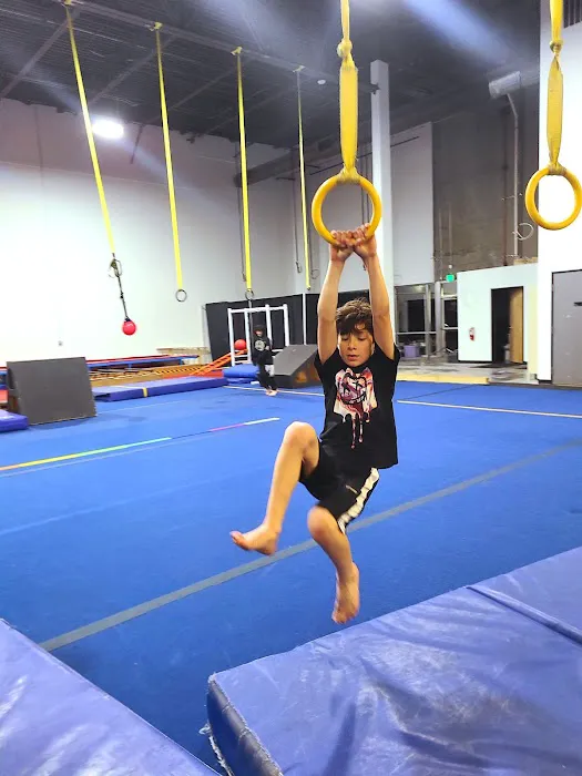 Sky Valley Gymnastics Academy Picture 8