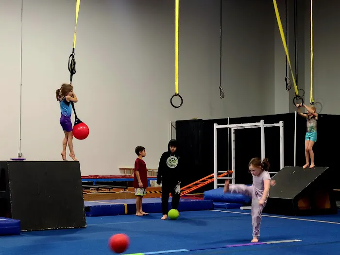 Sky Valley Gymnastics Academy Picture 7