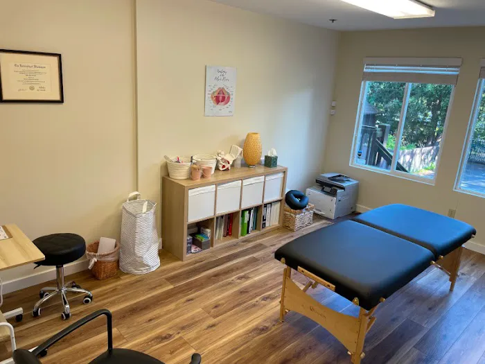 Blossom Pilates & Physical Therapy Picture 5