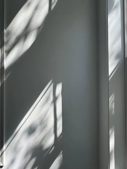 Onely Studio Picture 10