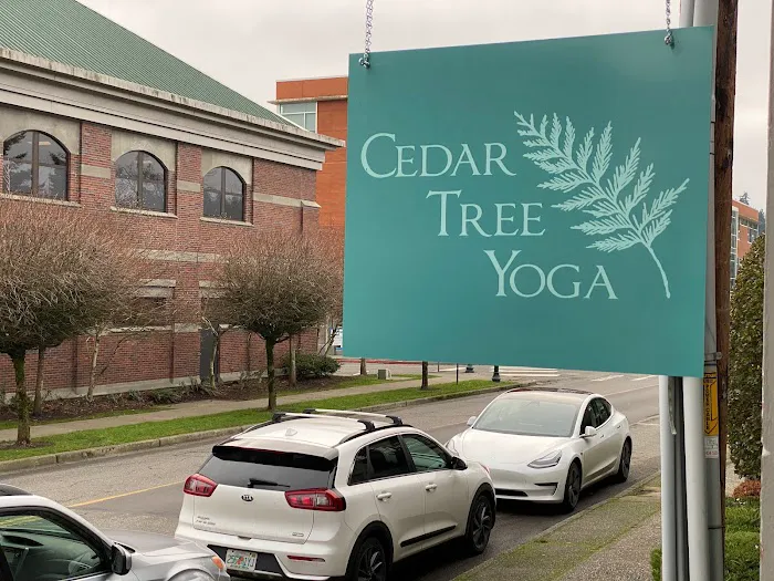 Cedar Tree Yoga Picture 4