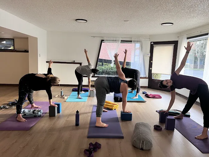 Patva Yoga Picture 3