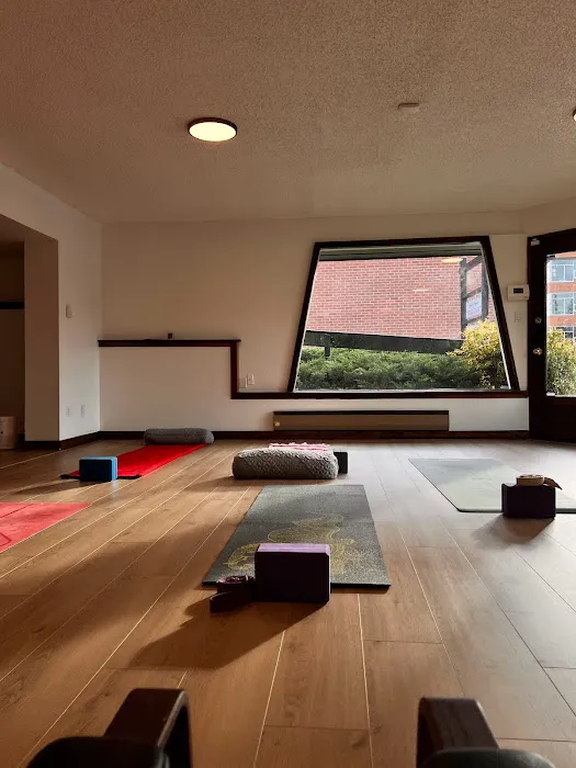 Patva Yoga Picture 4