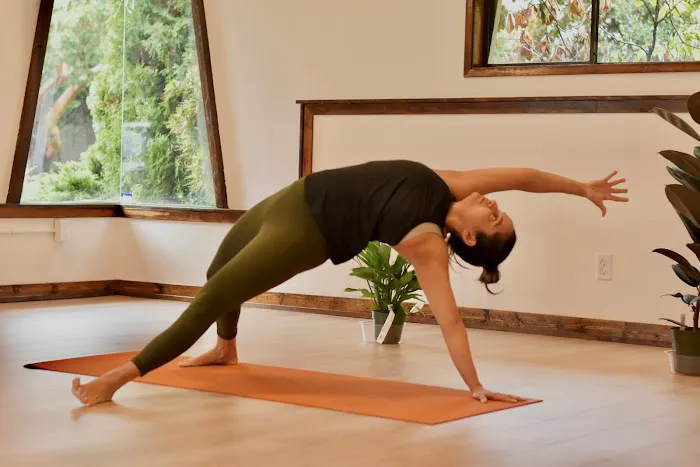 Patva Yoga Picture 5