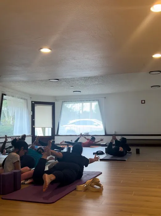 Patva Yoga Picture 8