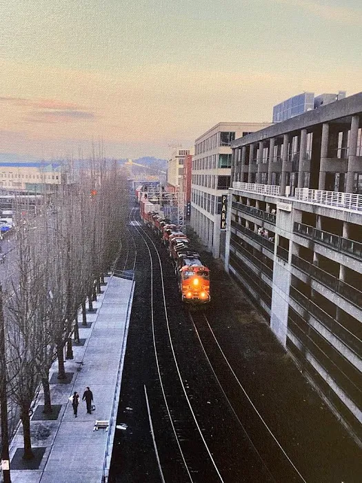 Cascade Elite Gymnastics Picture 1