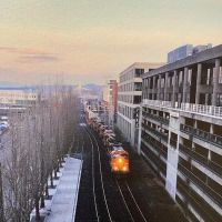 Cascade Elite Gymnastics ico