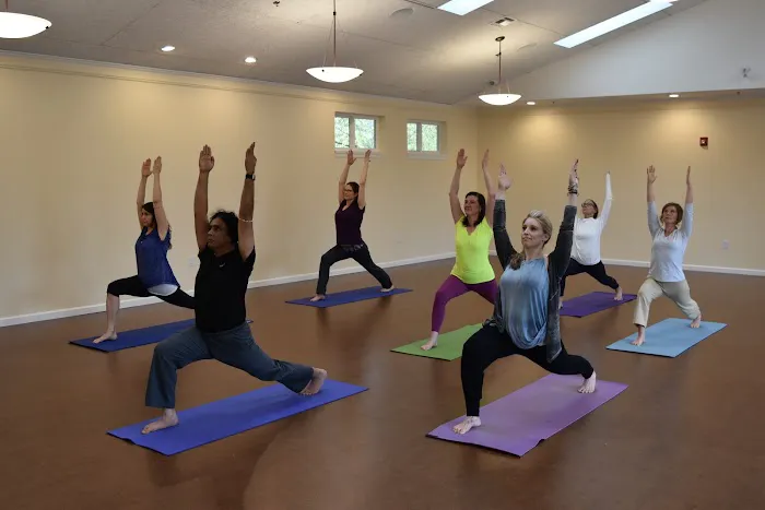 Ananda Institute of Living Yoga Picture 1