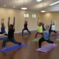 Ananda Institute of Living Yoga ico