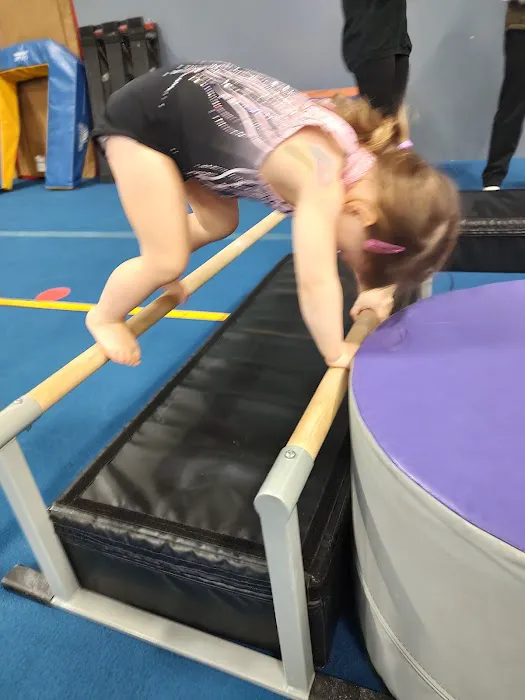 Bothell Gymnastics Club Picture 2