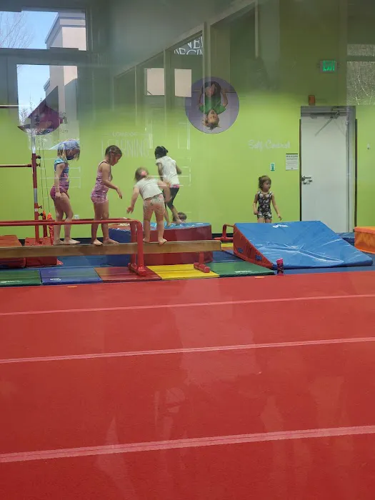 The Little Gym of Puyallup Picture 4