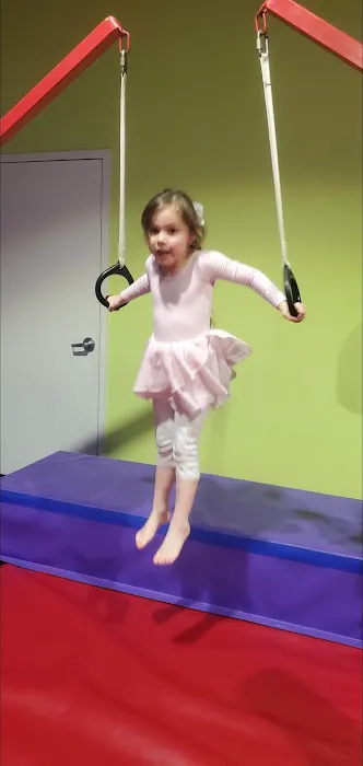 The Little Gym of Puyallup Picture 7