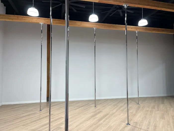 Elevar Pole & Fitness Picture 7