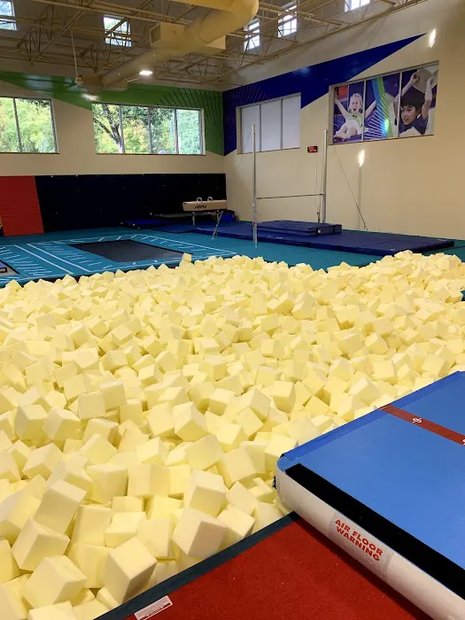 Seattle Gymnastics Academy - Mill Creek Picture 9