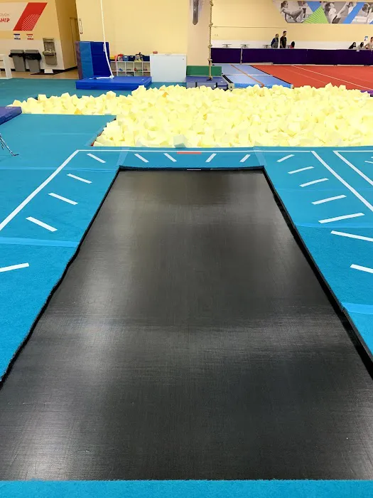 Seattle Gymnastics Academy - Mill Creek Picture 1