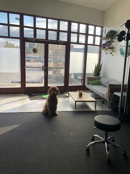 Fixology Fitness Picture 6