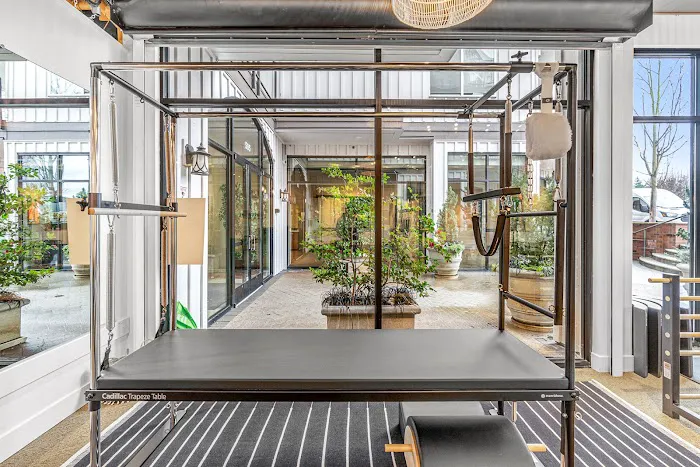 WOODWAY WELLNESS - Pilates + Occupational Therapy Picture 9