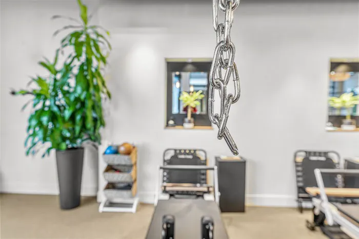 WOODWAY WELLNESS - Pilates + Occupational Therapy Picture 4