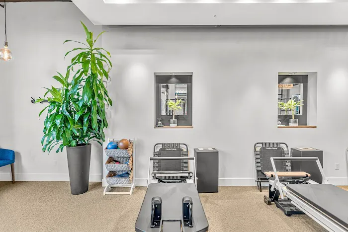 WOODWAY WELLNESS - Pilates + Occupational Therapy Picture 3