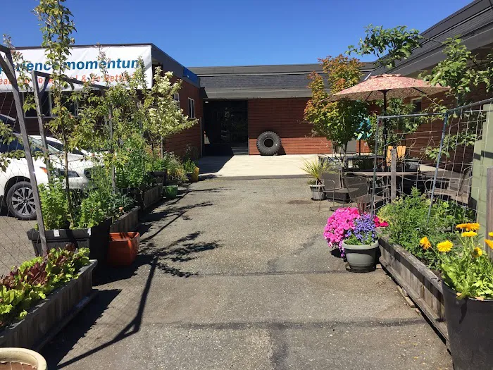 Experience Momentum Picture 6