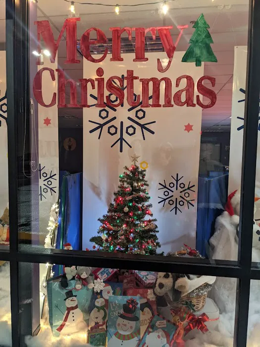 The Little Gym of Alderwood Picture 6